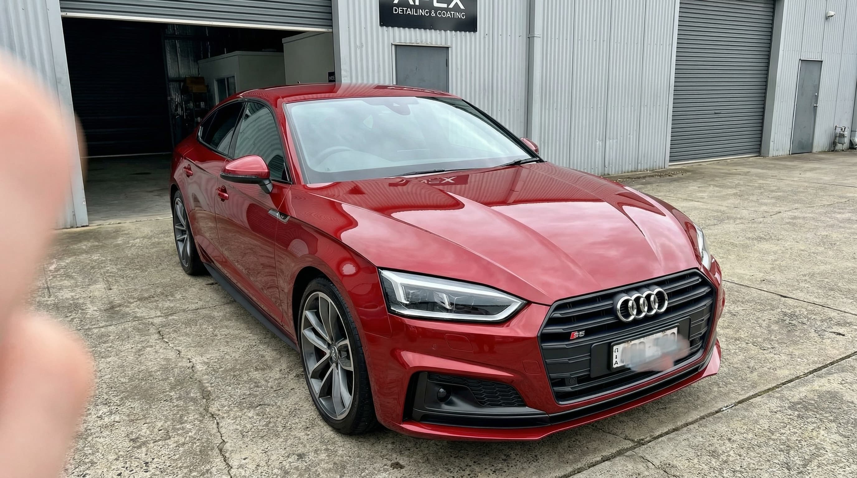 Audi S5 with professional ceramic coating finish